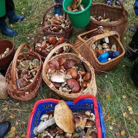 Sielska Oaza - Siedlisko Wiejskie Z Domem Calorocznym Tatil Evi *